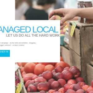 local seo, local seo marketing, local business seo, local search engine optimization